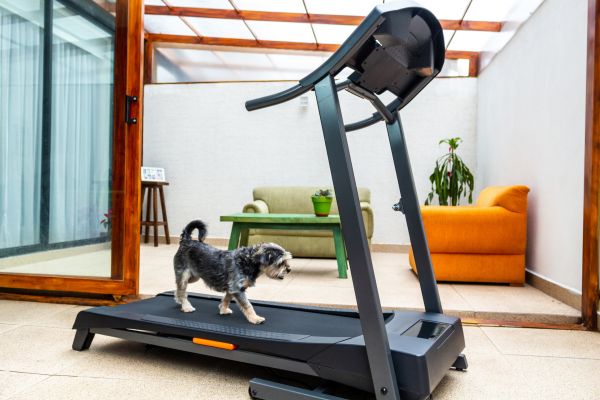 Treadmill Installation in Strongsville