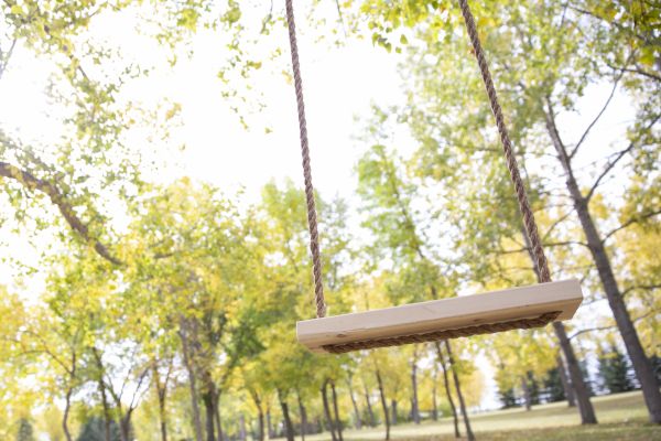 Tree Swing Installation in Strongsville