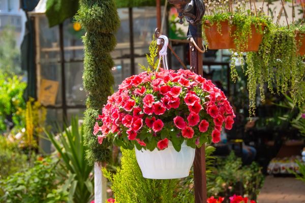 Hanging Planter Installation in Strongsville