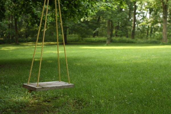 Rope Swing Installation in Strongsville