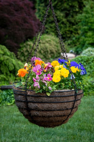 Hanging Basket Installation in Strongsville