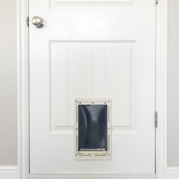 Pet Door Repair in Strongsville